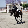 PADDOCKS DE AZAHAR