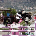 PADDOCKS DE AZAHAR