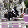 PADDOCKS DE AZAHAR
