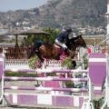PADDOCKS DE AZAHAR