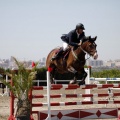 PADDOCKS DE AZAHAR
