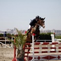 PADDOCKS DE AZAHAR