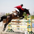 PADDOCKS DE AZAHAR