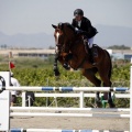 PADDOCKS DE AZAHAR