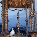 Corpus Christi