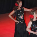 Castellón, La Asociación de Vecinos Primer Molí en el Auditorio