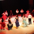 Castellón, La Asociación de Vecinos Primer Molí en el Auditorio
