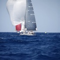 XVI Regata Costa Azahar