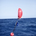 XVI Regata Costa Azahar