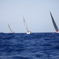 XVI Regata Costa Azahar