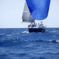 XVI Regata Costa Azahar