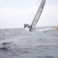 XVI Regata Costa Azahar