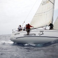 XVI Regata Costa Azahar