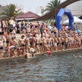 Castellón, deportes 2012