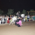 Castellón, Club Hípico Mediterráneo, fiesta andaluza