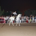 Castellón, Club Hípico Mediterráneo, fiesta andaluza