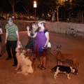 Castellón, A la Lluna d´estiu 2012