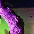 Castellón, A la Lluna d´estiu 2012