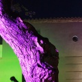 Castellón, A la Lluna d´estiu 2012