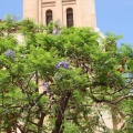 Castellón, San Cristóbal 2012
