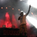 FIB 2012