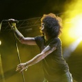 FIB 2012