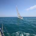 Castellón, Regata San Jaime en Oropesa. Sábado 28 de julio