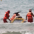 Castellón, simulacro salvamento Cruz Roja, playa de la Almadraba, Benicàssim