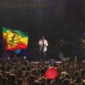 Castellón, Rototom Sunsplash, Benicàssim 2012