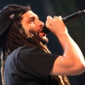 Castellón, Rototom 2012 Benicàssim