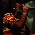 Castellón, Rototom 2012 Benicàssim