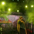 Rototom 2012, sábado