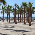 Castellón,  I TRIATLON DE OROPESA DEL MAR