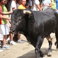 Castellón, Entrada Toros Segorbe 2012