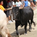 Castellón, Entrada Toros Segorbe 2012