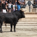 Castellón, Entrada Toros Segorbe 2012