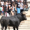 Castellón, Entrada Toros Segorbe 2012