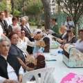 Castellón, Belle Époque de Benicàssim