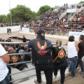 Castellón,  Harley Davidson
