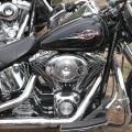 Castellón,  Harley Davidson