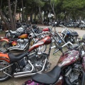 Castellón,  Harley Davidson