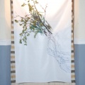 Castellón, Ana Beltran