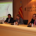 Castellón, 2012