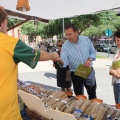 Castellón, XVIII Muestra de Alimentación Artesana, Biológica e Integral
