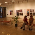 Castellón, Fundación Dávalos-Fletcher