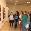 Castellón, Fundación Dávalos-Fletcher