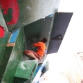 Castellón, Trofeo Escalada 2012
