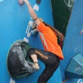 Castellón, Trofeo Escalada 2012