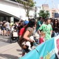 Castellón, VII GRAN PREMIO 42yPICO El Corte Inglés