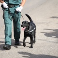 Castellón, La Guardia Civil  en el Día de la Hispanidad